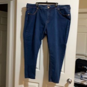 Melissa McCarthy seven, size 28, medium denim